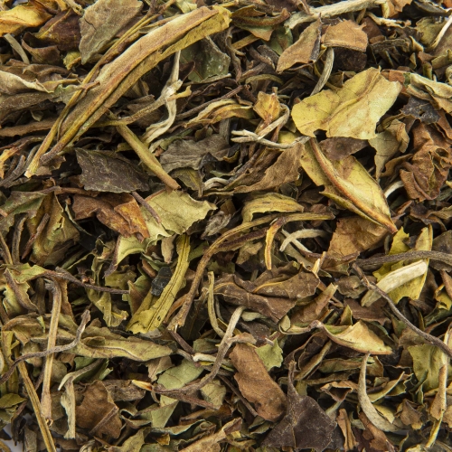 Pure White Tea - Baï Mu Tan Supérieur Bio