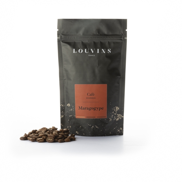 Specialty Coffee - Maragogype