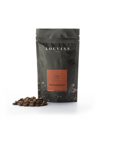 Specialty Coffee - Maragogype
