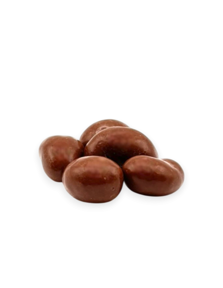 Milk Chocolate Covered Cashews