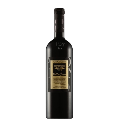 Salento Rosso IGP "Valle Cupa" 2020 - Apollonio