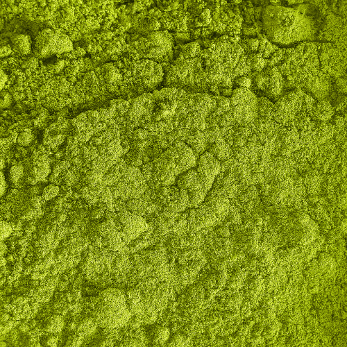 Matcha Premium Latte - Saveur Vanille
