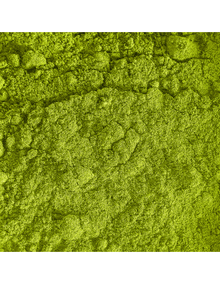 Matcha Premium Latte - Saveur Vanille