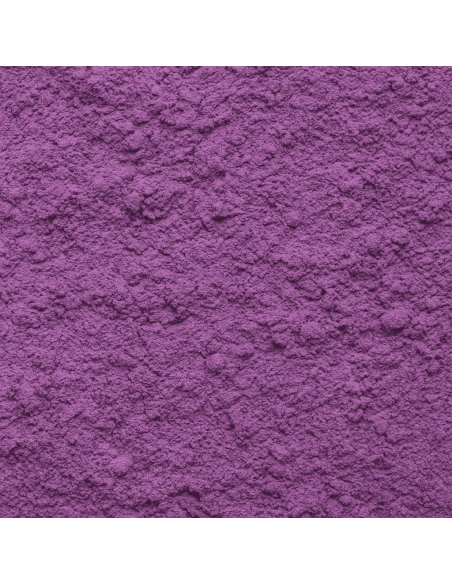 UBE Bio Premium Latte – Saveur Chocolat