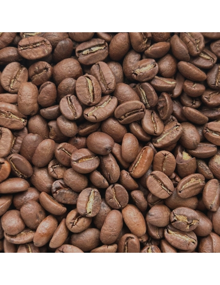 Café Grand Cru - Pang Khon Giants Hilltribe