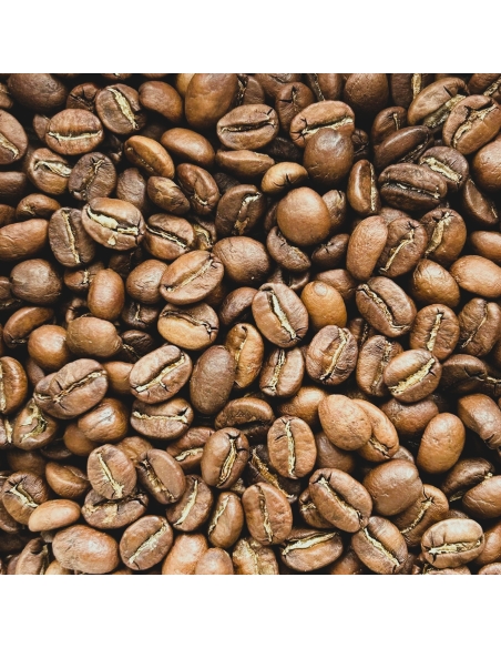Grand Cru Coffee - Mount Everest Suprême Bio