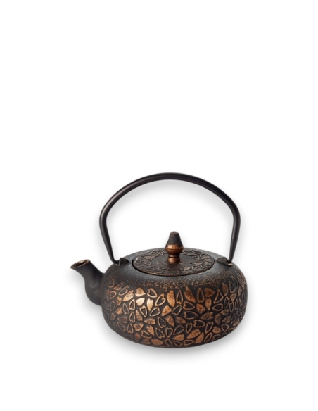 Cast Iron Teapot Cœur d’Or – 40 cl