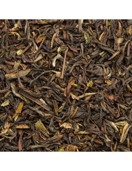 Thé noir nature - Darjeeling Grand Himalaya
