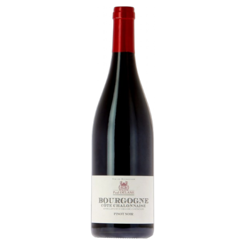 Pinot Noir 2023 - Paul Delane - Vignerons de Buxy - Bourgogne Côte Châlonnaise AOP