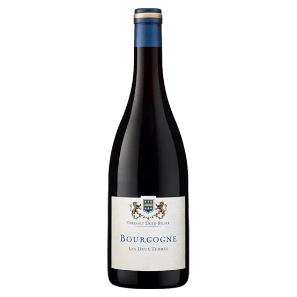 Bourgogne Gamay "Les 2 Terres" 2022 - Thibault Liger-Belair - Bourgogne AOC