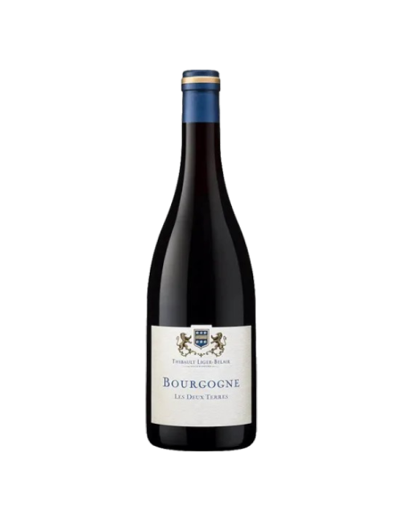 Bourgogne Gamay "Les 2 Terres" 2022 - Thibault Liger-Belair - Bourgogne AOC