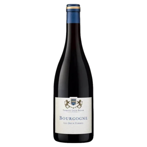 Bourgogne Gamay "Les 2 Terres" 2021 - Thibault Liger-Belair - Bourgogne AOC