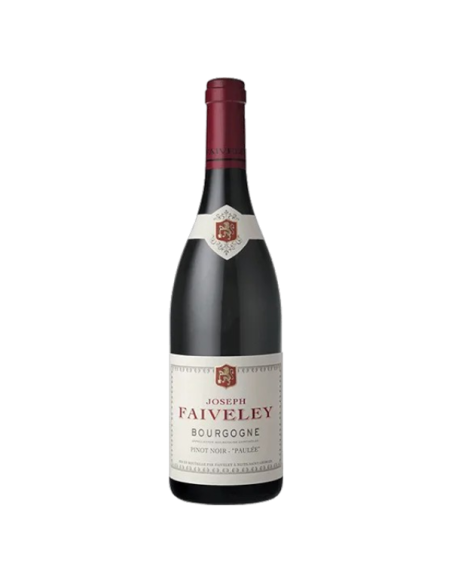 Bourgogne Pinot Noir 2022 - Domaine Faiveley - Bourgogne AOC