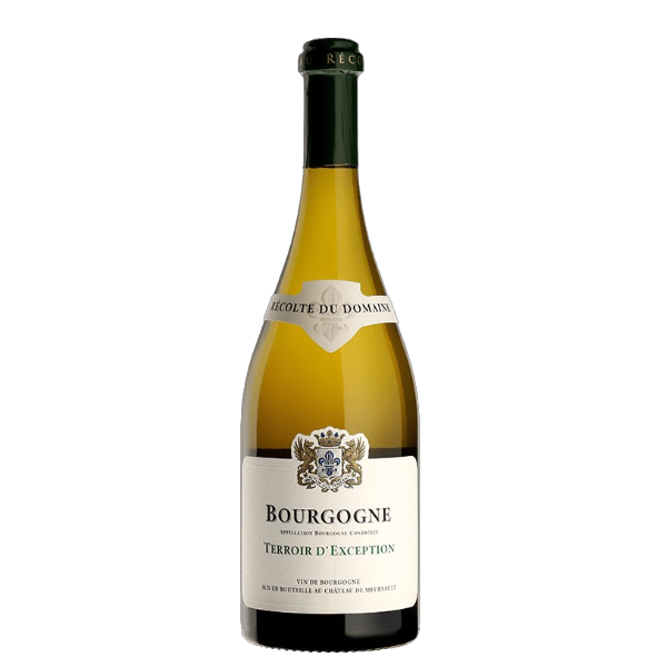 Bourgogne "Terroir d'Exception" 2023 - Domaine du Château de Meursault - Bourgogne AOC