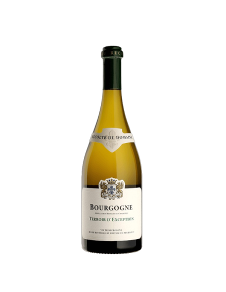 Bourgogne "Terroir d'Exception" 2023 - Domaine du Château de Meursault - Bourgogne AOC