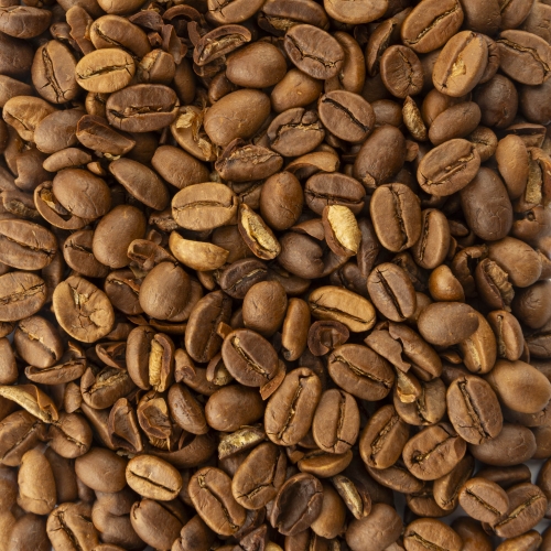 Café de spécialité - Malabar Karnataka AA Pure