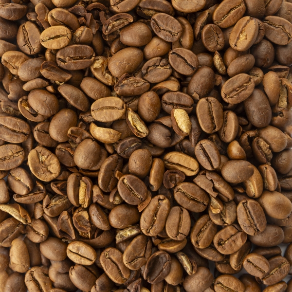 Café de spécialité - Malabar Karnataka AA Pure