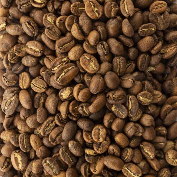 Café de spécialité - Nyala Sidamo