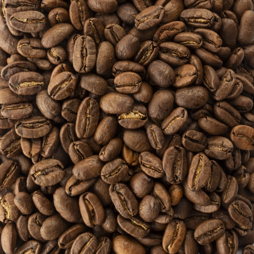 Café de spécialité - Pérou Finca Rosenheim