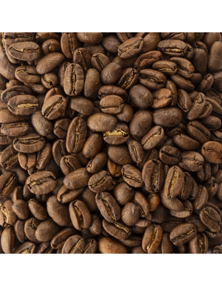 Café de spécialité - Pérou Finca Rosenheim