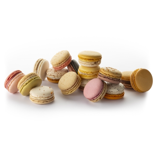 Fruity 16 Macaron Box | Louvins