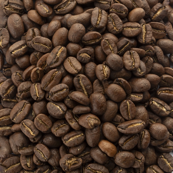 Lampocoy Coffee