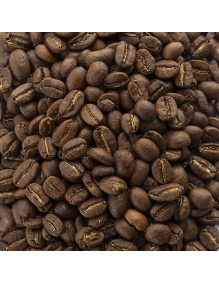 Lampocoy Coffee