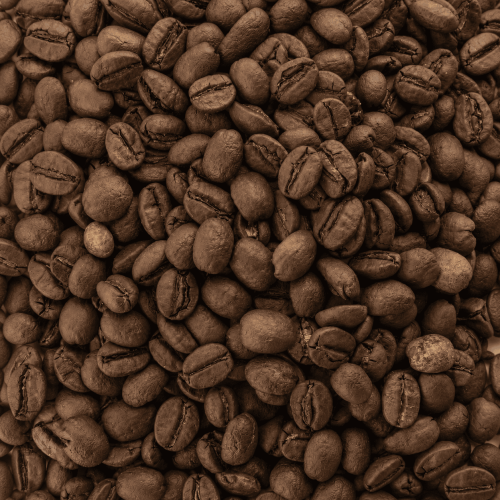 San Rafael Premium Organic