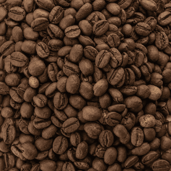 San Rafael Premium Bio