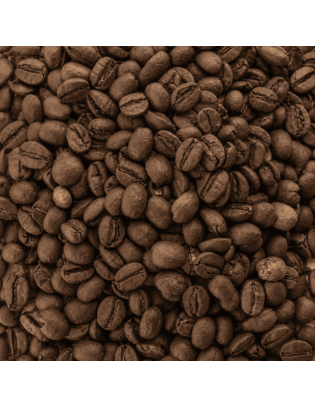 San Rafael Premium Bio