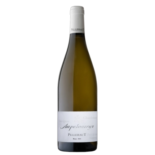 Ampelomeryx Blanc 2024 - Pellehaut - Vin de France