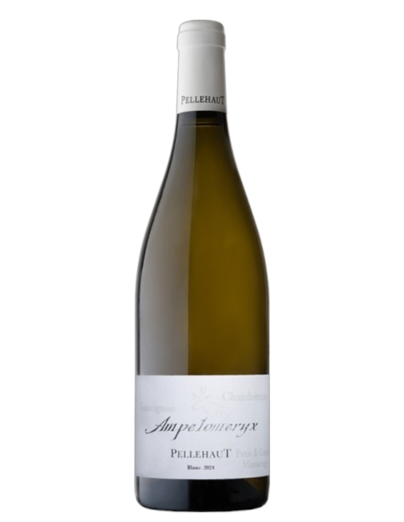 Ampelomeryx Blanc 2024 - Pellehaut - Vin de France