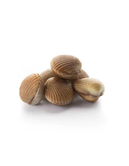 Coques de Cabourg à la fleur de sel