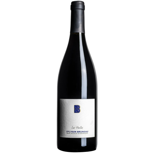 Les Pentes 2022 BIO, Saint-Nicolas-de-Bourgeuil AOC